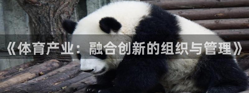 必一体育官方下载：《体育产业：融合创新的组织与管理》
