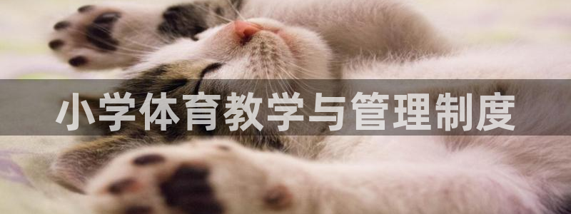 必一体育下载app